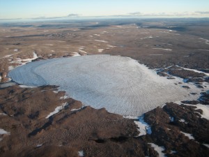Ice melted by Arctic warming exposed dead plants