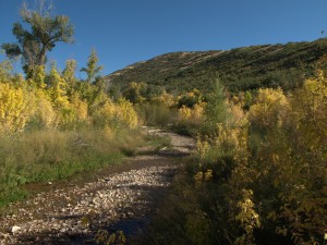 A photograph of Dell Creek near Salt Lake City