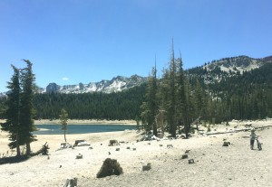 Abnormally low lake level at Horseshoe Lake in the high-elevation Mammoth Lakes Basin in the Sierra Nevada Mountains, taken in June 2015.  Credit: Jennifer Bernstein 